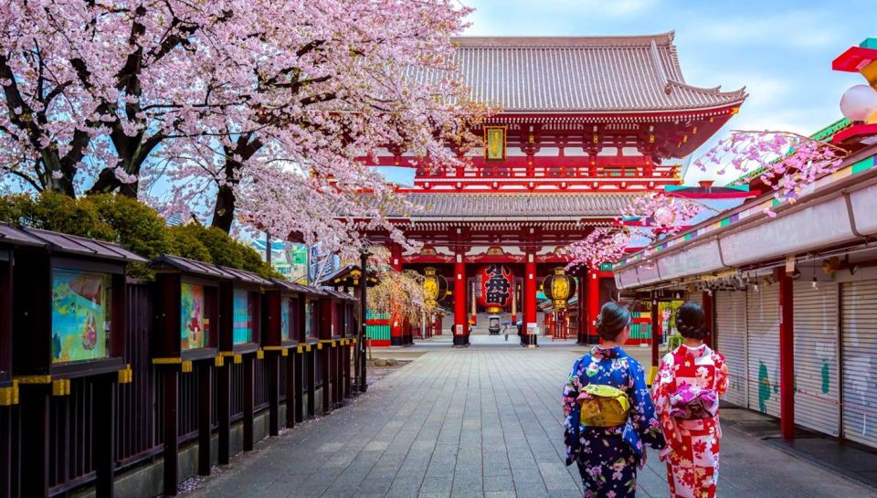 Tokyo: Full Day Private Walking Tour With a Guide - Activity Details and Options