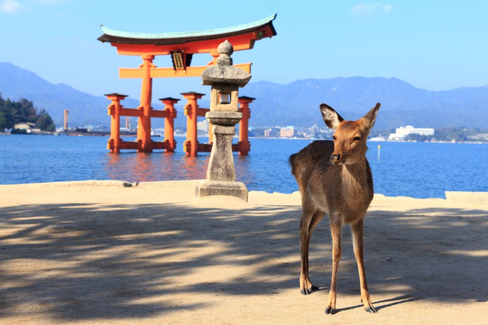 From Hiroshima: Hiroshima and Miyajima Island 1-Day Bus Tour - Frequently Asked Questions