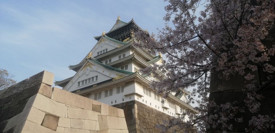 Osaka: Five Must-See Highlights Walking Tour & Ramen Lunch - Tour Experience