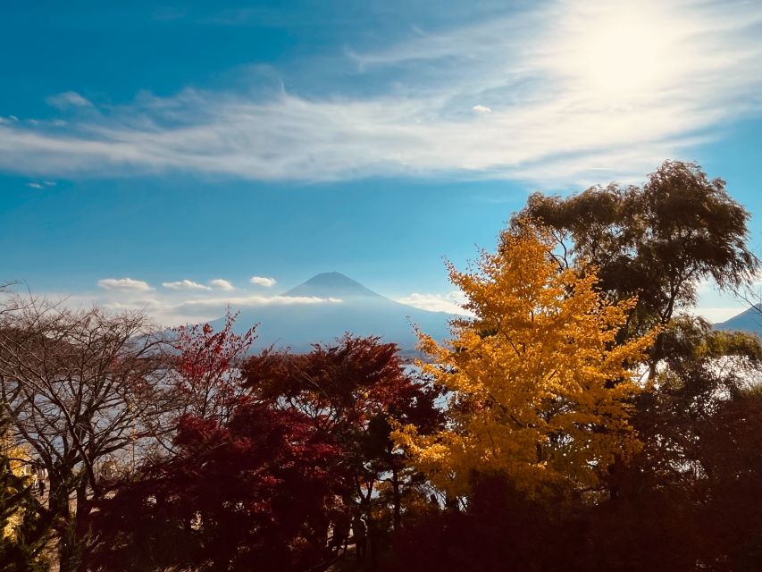 Shinjuku: Mount Fuji Panoramic View and Shopping Day Tour - Tour Highlights
