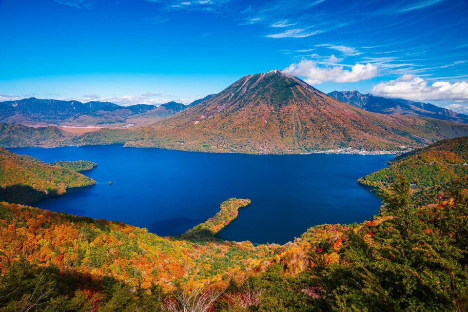 From Tokyo: Private Cultural Day Trip to Nikko UNESCO Sites - Driver and Language