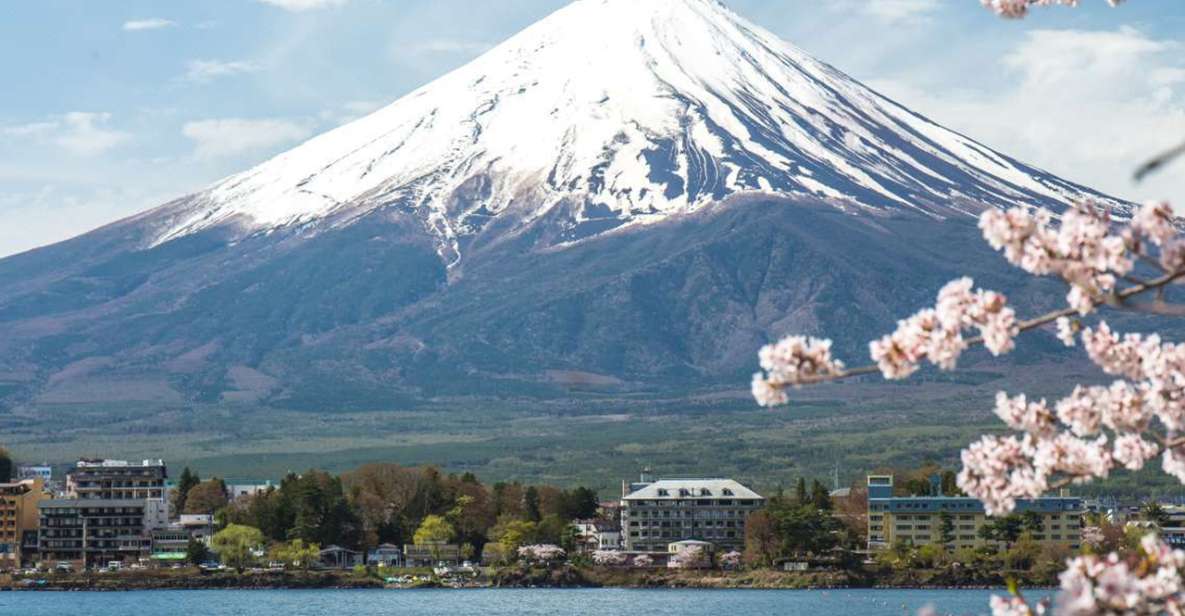 From Tokyo: Mt Fuji Classic Route Private Day Tour - Tour Details