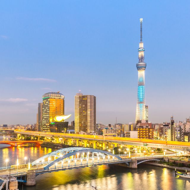 Tokyo Private Sightseeing Customizable Day Tour by Car & Van - AHK Travels