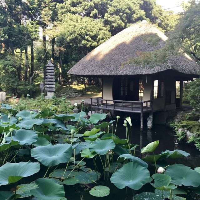 Kyoto: Group Tea Ceremony in a Japanese Painters Garden - Additional Information