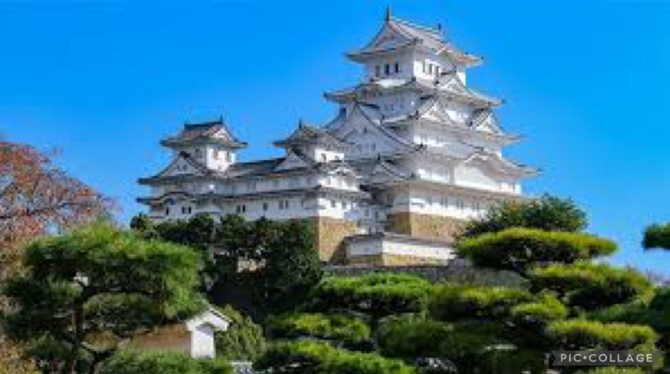Private:Full Day Kobe City Tour W/Hotel Pickup - Tour Inclusions