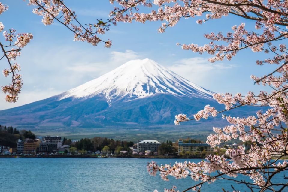 From Tokyo: 10-hour Mount Fuji Private Customizable Tour - Tour Itinerary