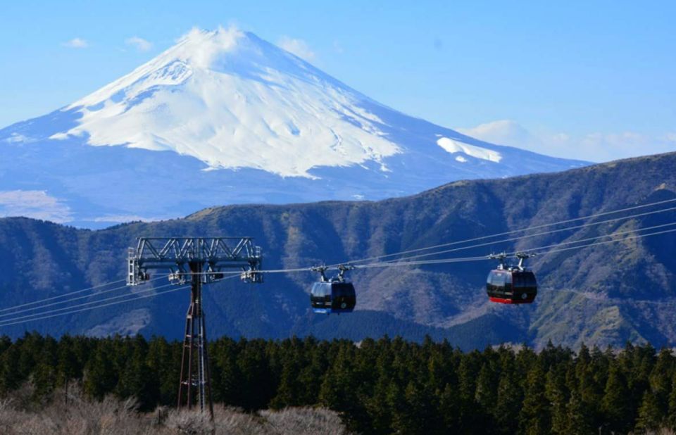 From Tokyo: 10-hour Hakone Private Custom Tour - Language and Guide Options