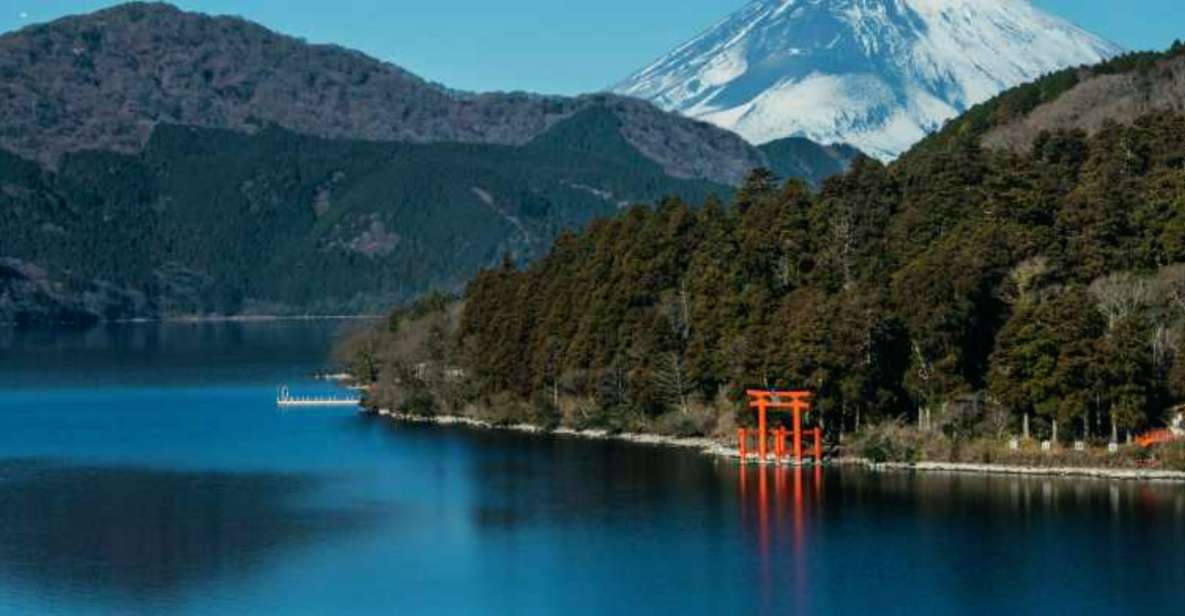 From Tokyo: 10-hour Hakone Private Custom Tour - Highlights of the Experience