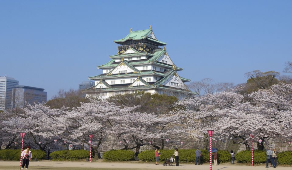 Osaka: 10-Hour Customizable Tour With Private Car - Benefits of the Tour