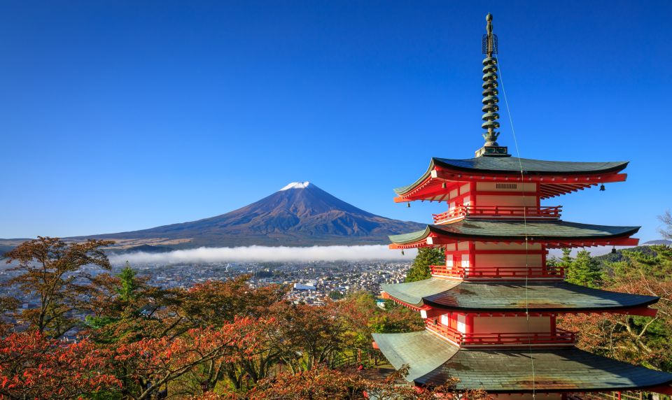 From Tokyo: Mt. Fuji or Hakone Private Sightseeing Day Trip - Activity Details