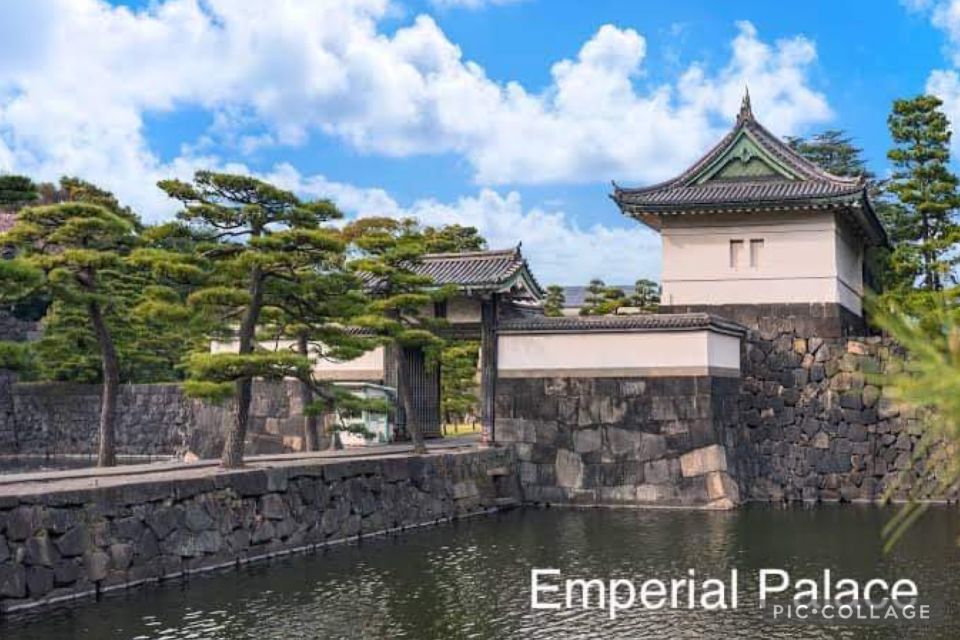 Tokyo: Private Full Day Sightseeing Tour - Tour Conditions