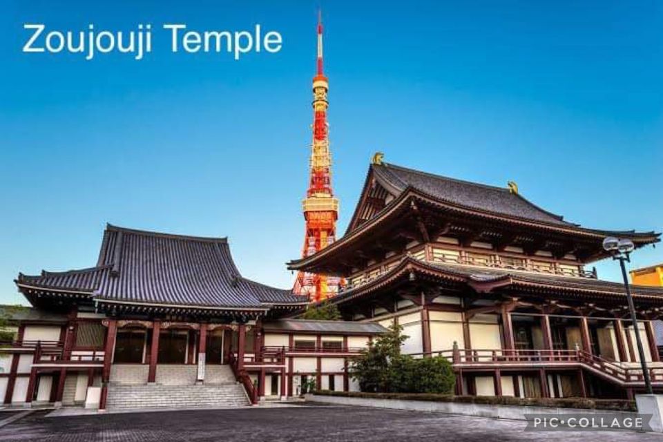 Tokyo: Private Full Day Sightseeing Tour - Helpful Information