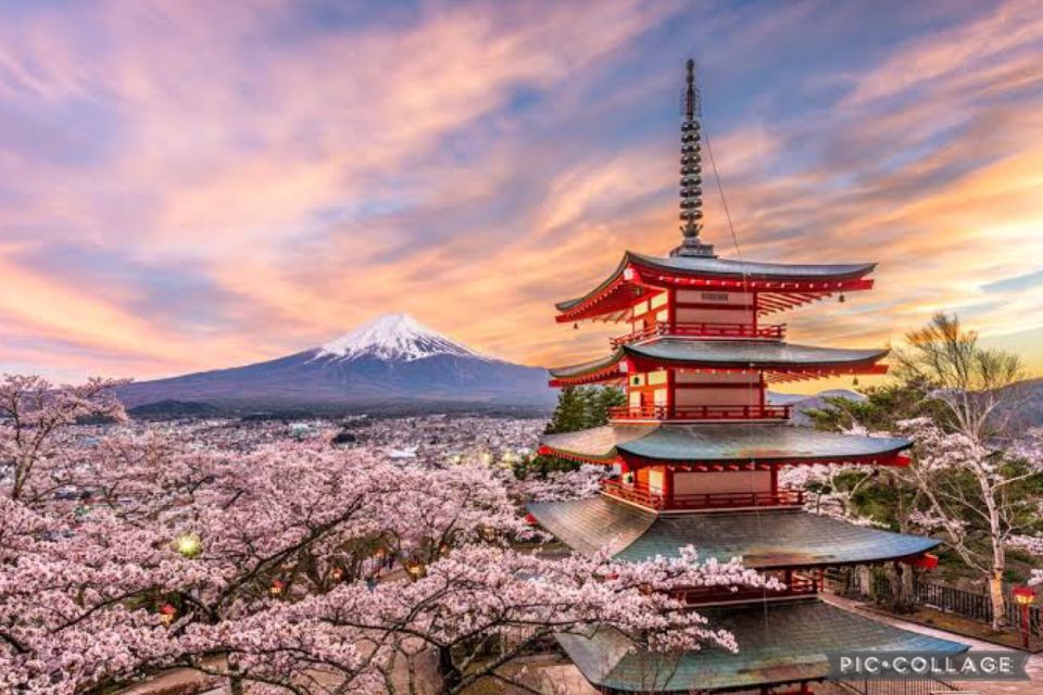 From Tokyo/Hakone/Fuji: Hakone & Mt. Fuji Day Trip W/Pickup - Trip Highlights