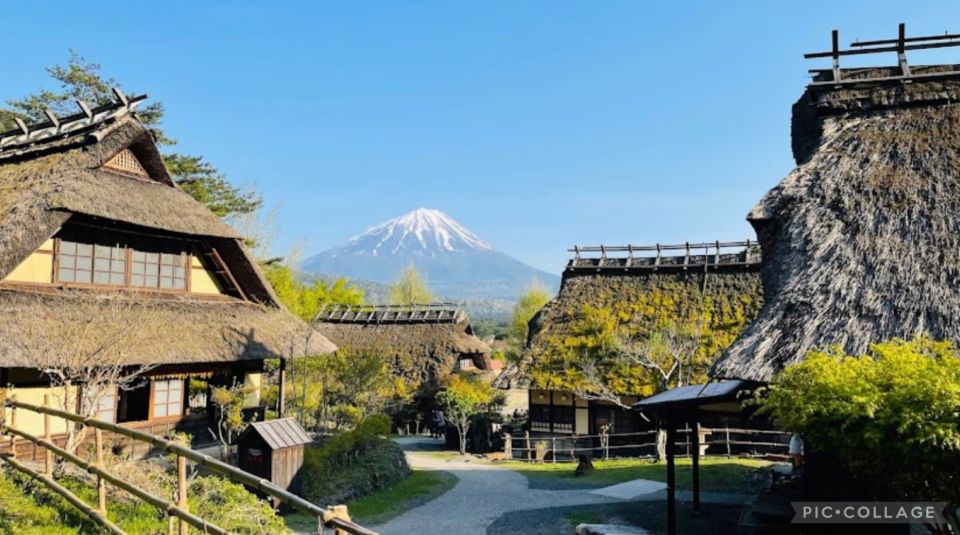 From Tokyo/Hakone/Fuji: Hakone & Mt. Fuji Day Trip W/Pickup - Activity Details