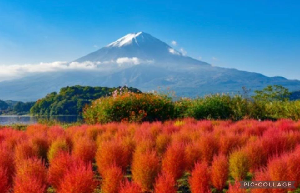 From Tokyo/Hakone/Fuji: Hakone & Mt. Fuji Day Trip W/Pickup - Explore Saiko Iyashi-no-Sato Nenba