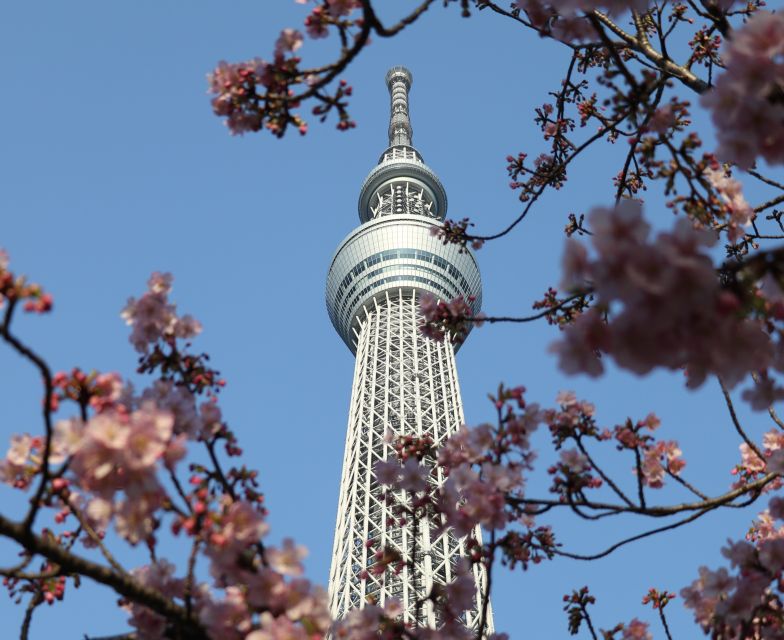 Tokyo Skytree: Admission Ticket and Private Hotel Pickup - Select Participants, Date, and Language