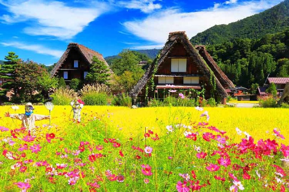 Nagoya: Shirakawa-go Village and Takayama UNESCO 1-Day Trip - Activity Details