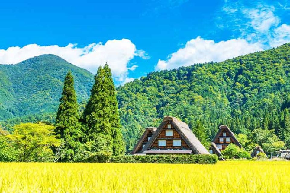 Nagoya: Shirakawa-go Village and Takayama UNESCO 1-Day Trip - Highlights