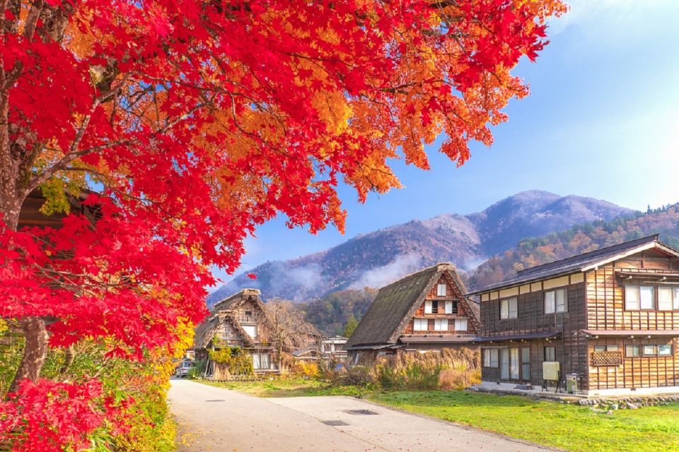 Nagoya: Shirakawa-go Village and Takayama UNESCO 1-Day Trip - The Sum Up