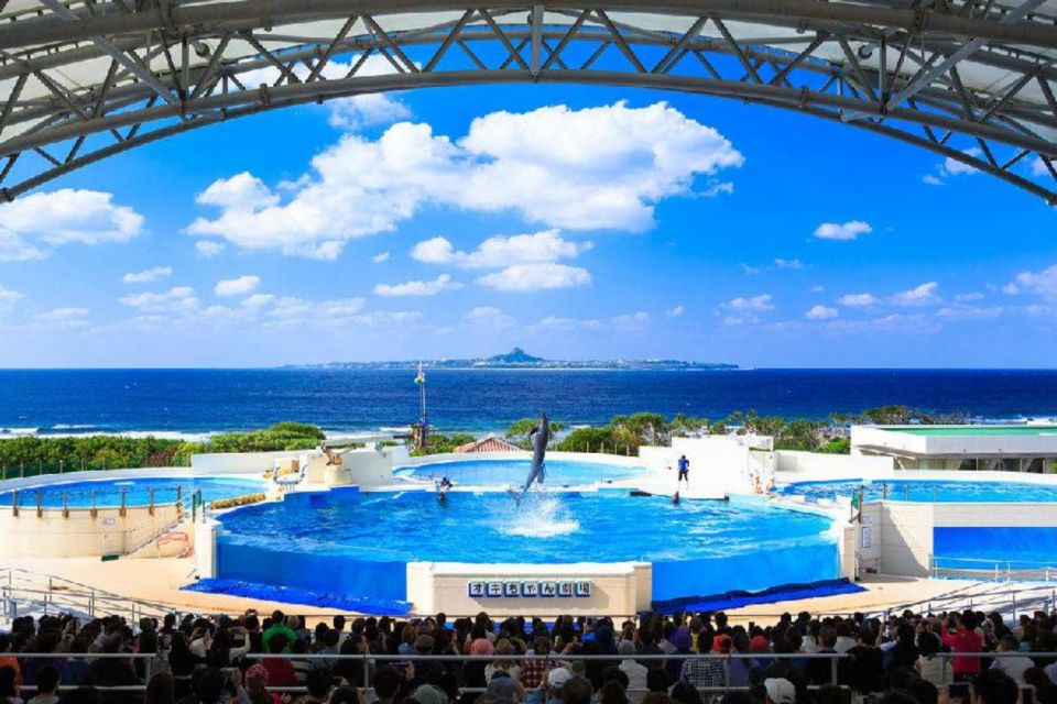 Okinawa Churaumi Aquarium Admission Ticket - Ticket Details