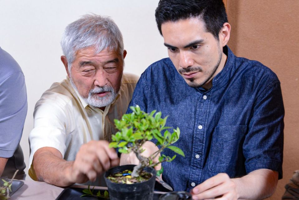 Bonsai & Sencha Tea Experience: Pastime of the Literati - Immersing Oneself in the Art of Bonsai