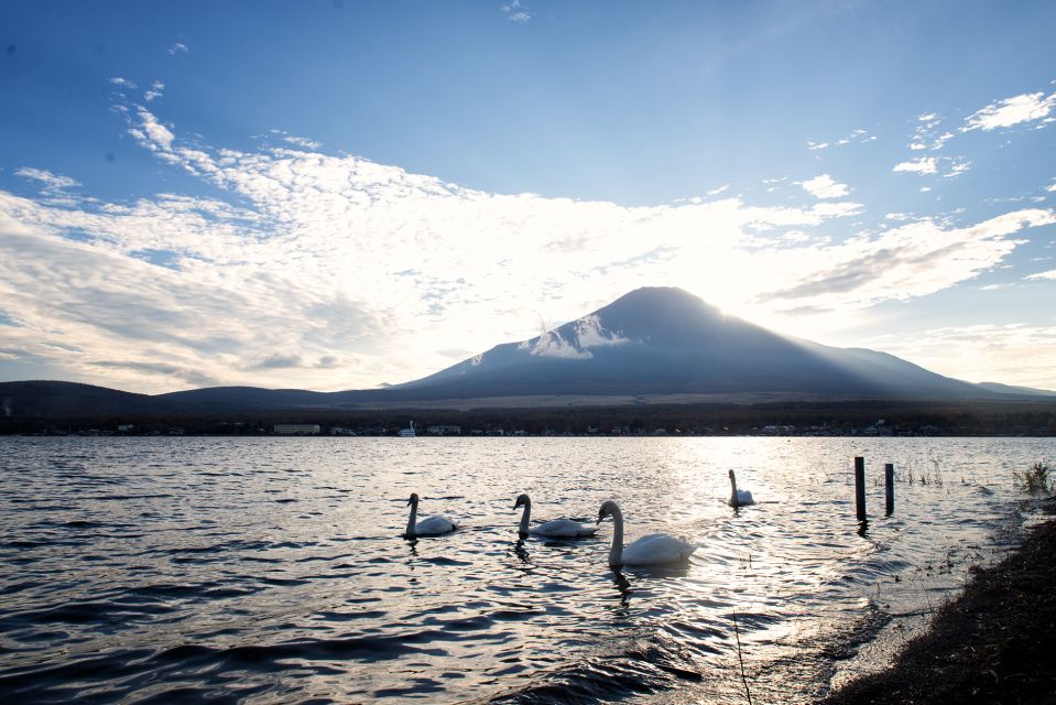 Private Full Day Sightseeing Tour to Mount Fuji and Hakone - Frequently Asked Questions