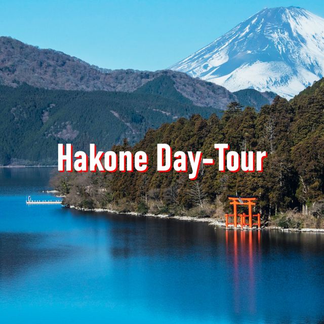 From Tokyo: 10-hour Hakone Private Custom Tour - Highlights