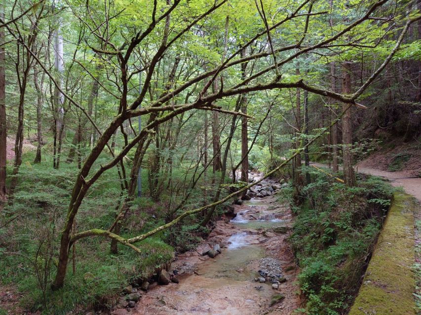 From Matsumoto/Nagano: Nakasendo Trail Walking Tour - Directions