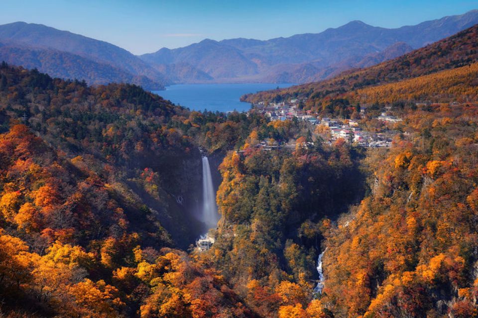 From Tokyo: Private Trip to Nikko and Lake Chuzenji - Tour Highlights and Experience