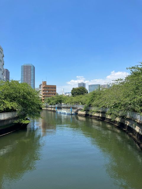 Tokyo: Walking Tour in Shitamachi With a Local Incl 1 Drink - Booking Details