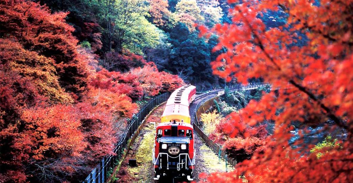 Kyoto Sanzenin Temple,Arashiyama Day Tour From Osaka/Kyoto - Experience the Natural Beauty of Arashiyama