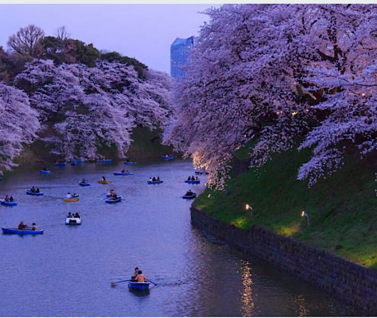 1 Day Tokyo Tour: Customizable (Up-To 6 Persons) - Directions and Location
