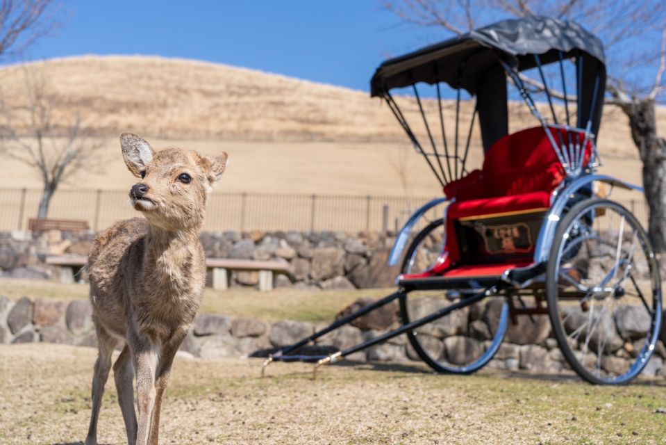 Nara: Cultural Heritage Tour by Rickshaw - Rickshaw Tour Highlights