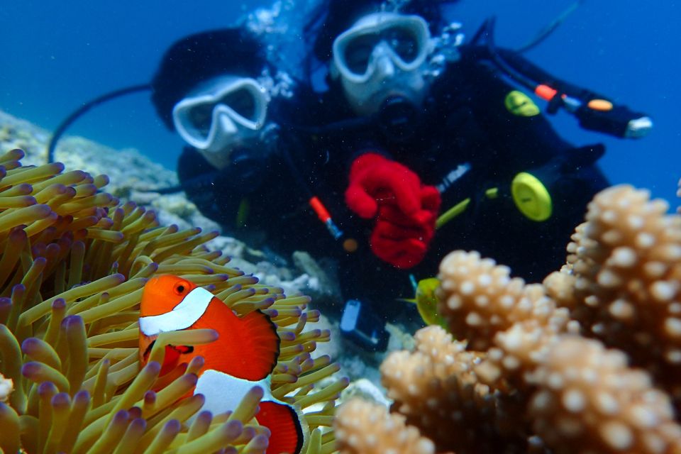 Okinawa: Scuba Diving Tour With Wagyu Lunch & English Guide - Booking Options