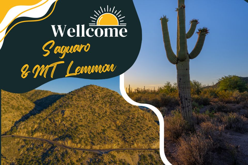 Tucson: Mt Lemmon & Saguaro NP Self-Guided Bundle Tour - Tour Details and Benefits