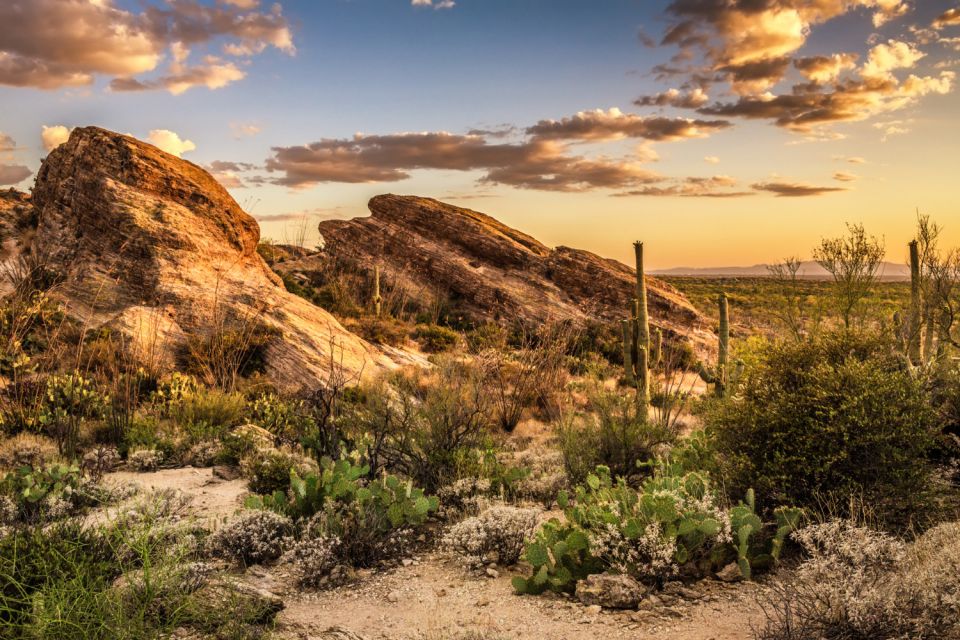 Tucson: Mt Lemmon & Saguaro NP Self-Guided Bundle Tour - Mysteries and Experiences