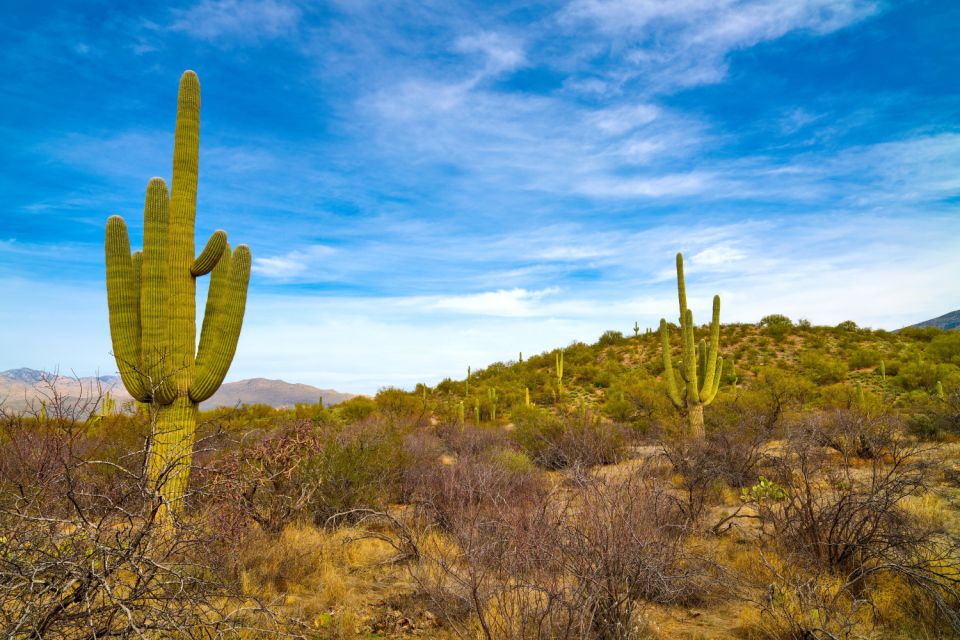 Tucson: Mt Lemmon & Saguaro NP Self-Guided Bundle Tour - Full Description