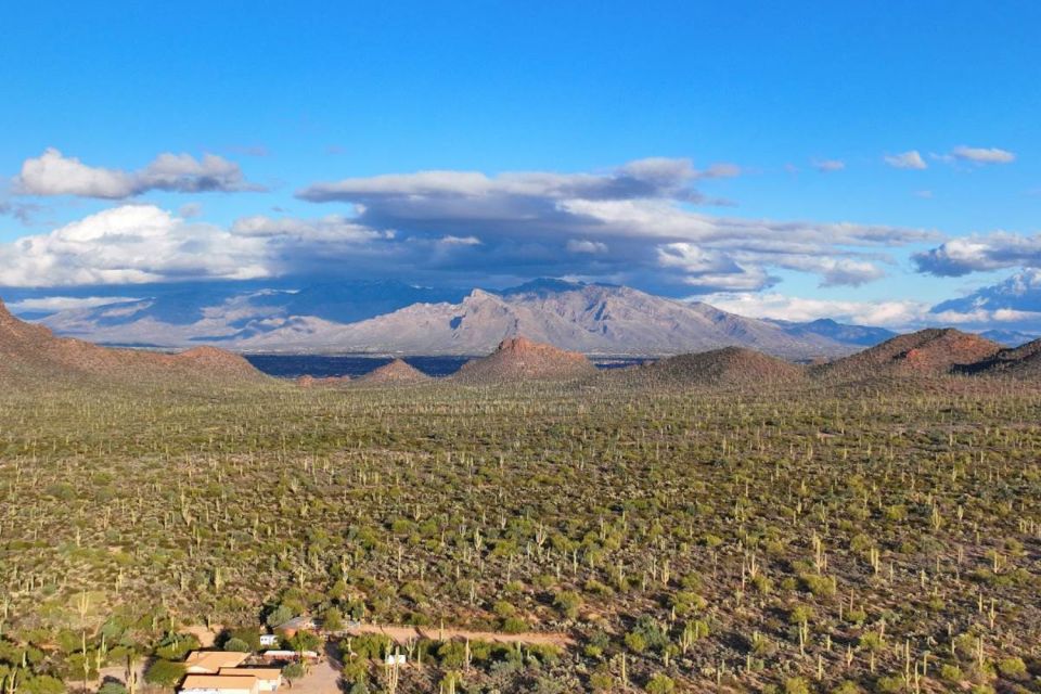 Tucson: Mt Lemmon & Saguaro NP Self-Guided Bundle Tour - Tips for a Successful Self-Guided Tour