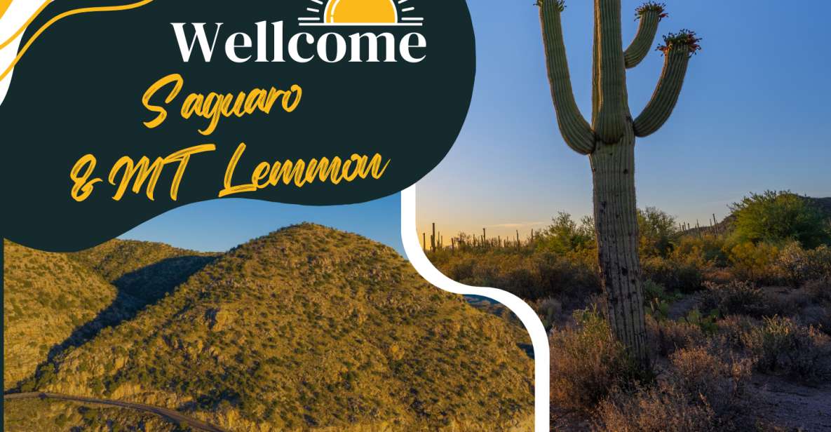 Tucson: Mt Lemmon & Saguaro NP Self-Guided Bundle Tour - Directions