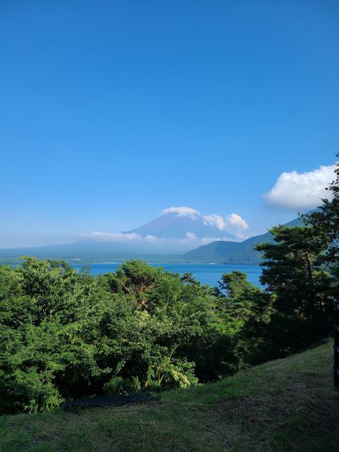 Mount Fuji & Kawaguchiko: Private Guided Customizable Tour - Customer Reviews and Feedback