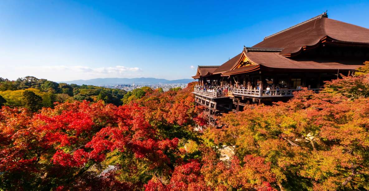 Kiyomizu Temple and Backstreet of Gion Half Day Private Tour - Experience and Highlights