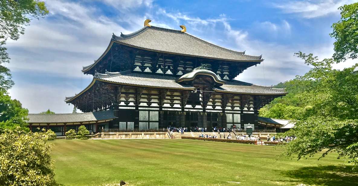 Nara: Todai-ji and Nara Park (English Guide) - Interacting With the Deer in Nara Park