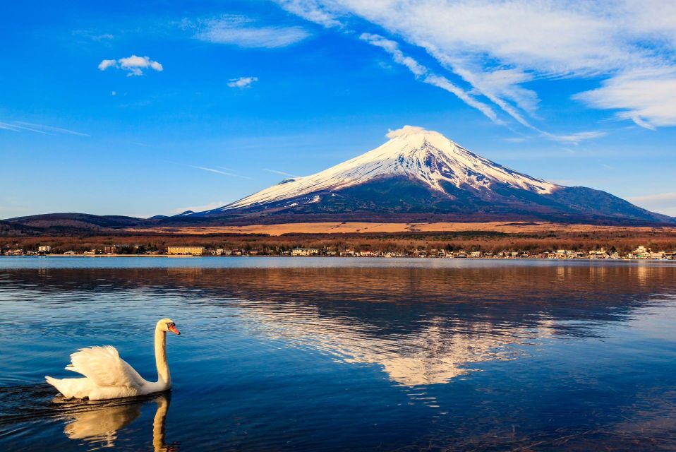 1-Day Trip: Mt Fuji Kawaguchi Lake Area - Activity Details for Mt Fuji Kawaguchi Lake Trip