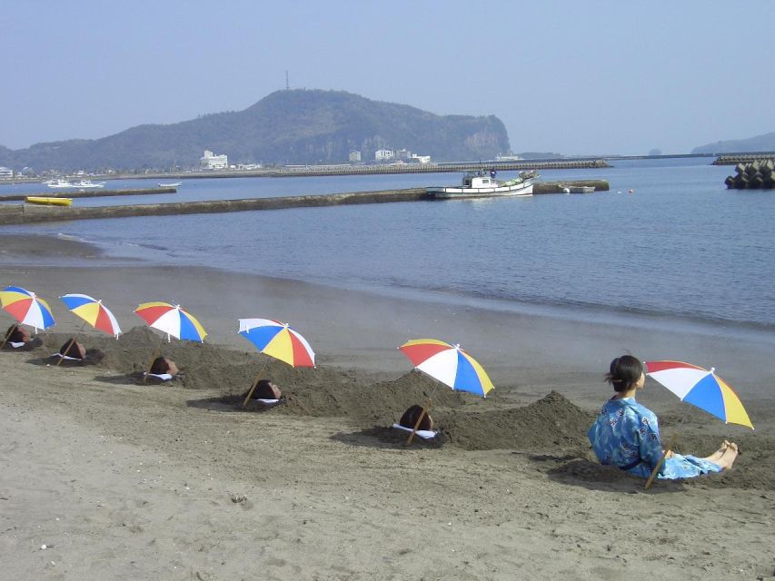 Kagoshima: Samurai History and Hot Sand Baths Private Tour - Experience Highlights