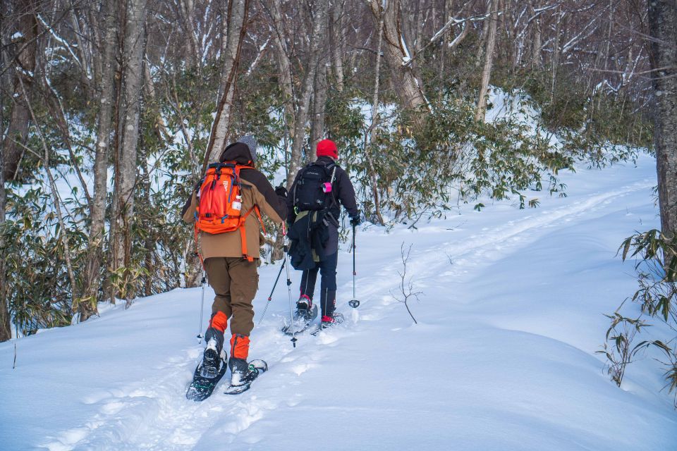 Noboribetsu: Snowshoe Trip to Ice Caves - Experience Highlights