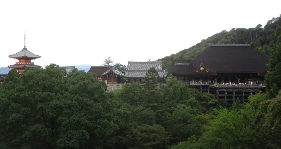 Kyoto-Nara: Great Buddha, Deer, Pagoda, Geisha - Inclusions: Transportation and Entrance Fees