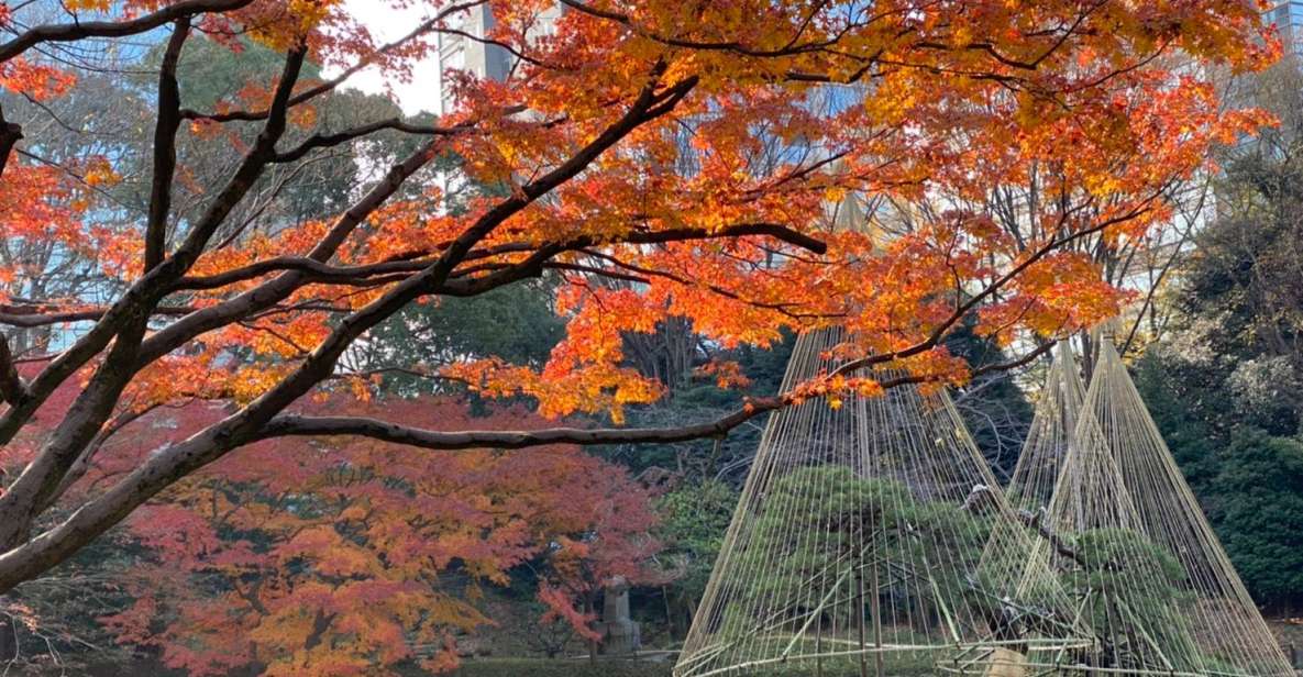 Tokyo: Full Day Tour, Private Guide&Customizable Itinerary - Selecting Participants and Date