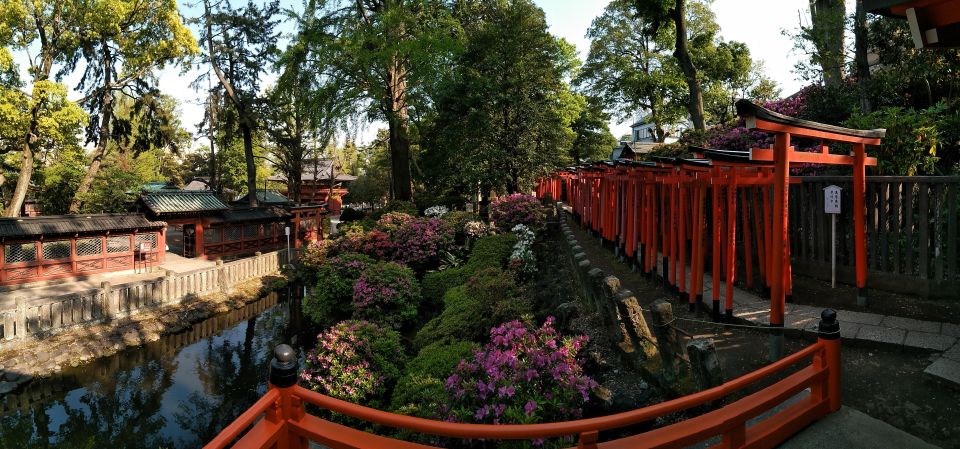 Tokyo: Full Day Tour, Private Guide&Customizable Itinerary - Inclusions and Costs