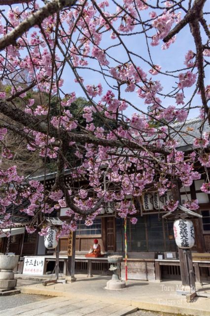 Kyoto Pontocho All Including Evening Local Food Tour - Frequently Asked Questions