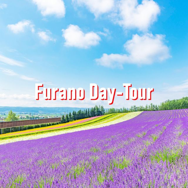 From Sapporo: 10-hour Customized Private Tour to Furano - Highlights of the Tour